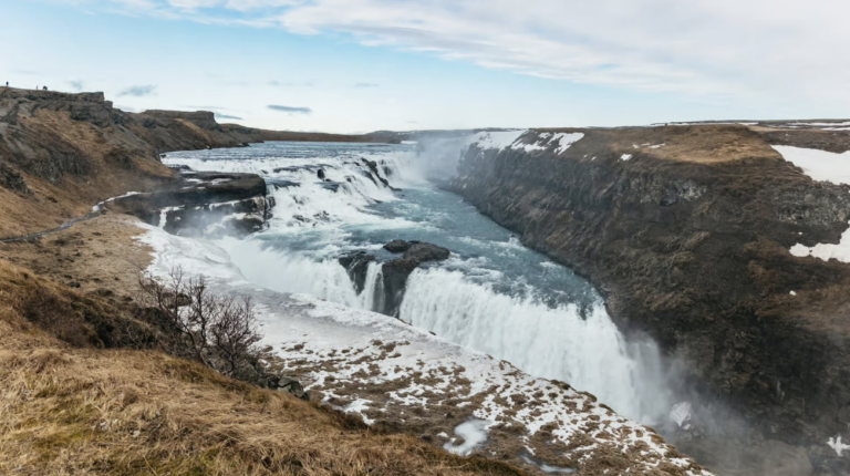 Screenshot 2026-01-05 at 12.36.29 PM