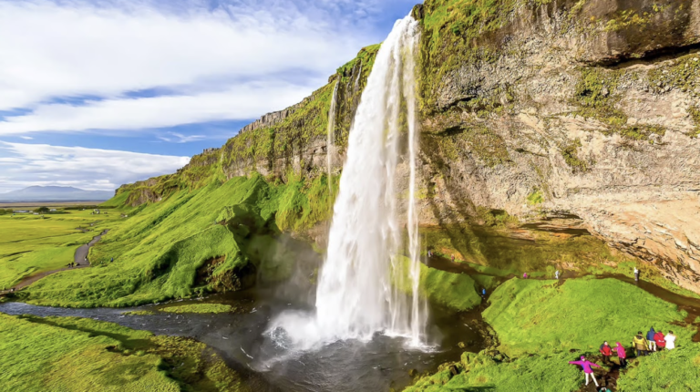 Screenshot 2026-01-05 at 12.37.24 PM