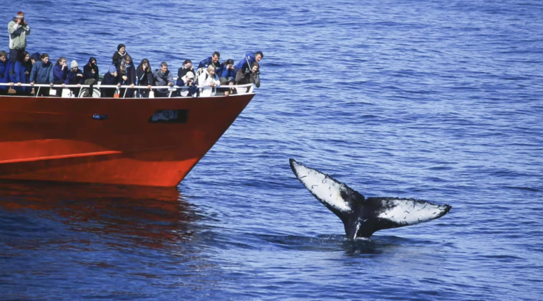 Screenshot 2026-01-05 at 12.38.26 PM