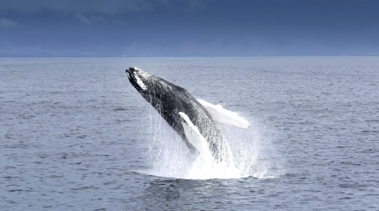 Screenshot 2026-01-05 at 12.38.39 PM